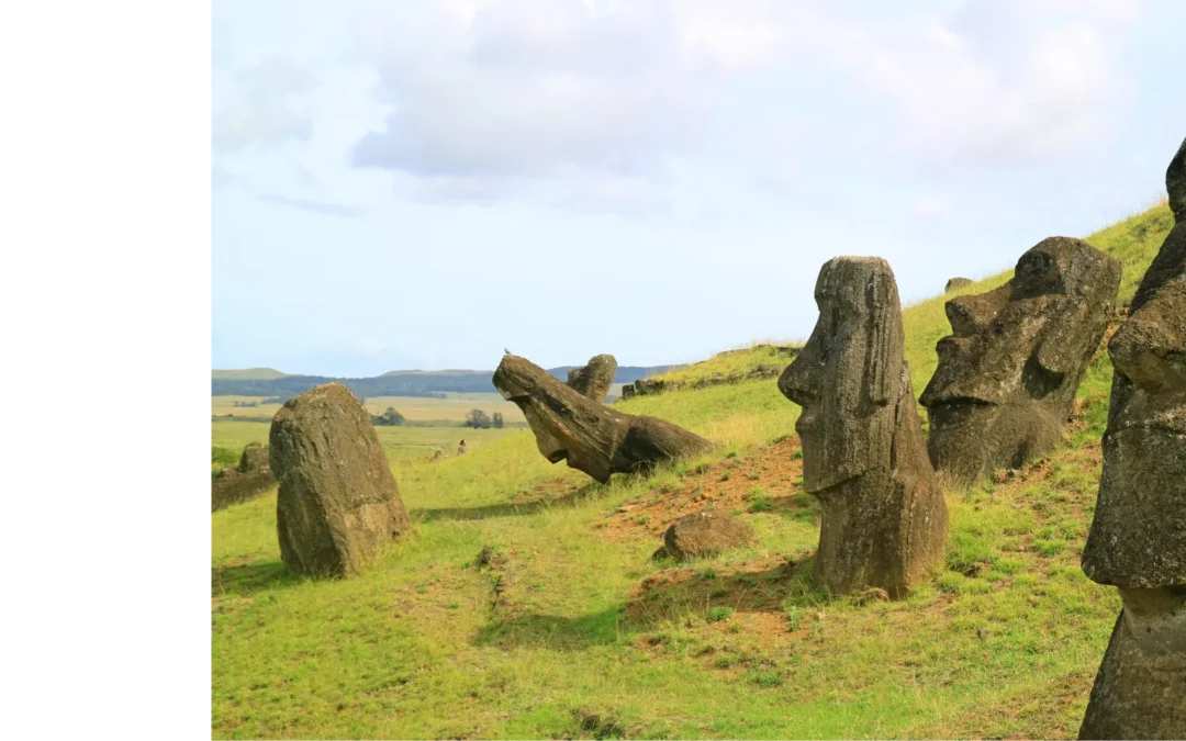 What is sirolimus? A new hope for cats with HCM. | Felycin-CA1 (sirolimus delayed-release tablets)