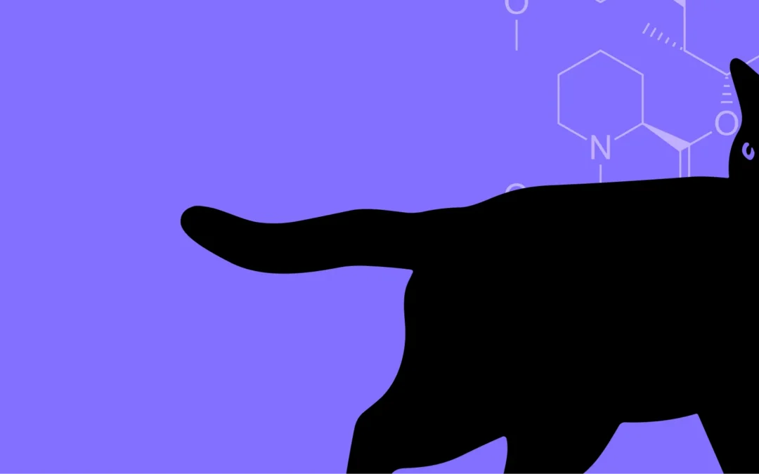 A Hero for Cats with HCM: the Science Behind Sirolimus