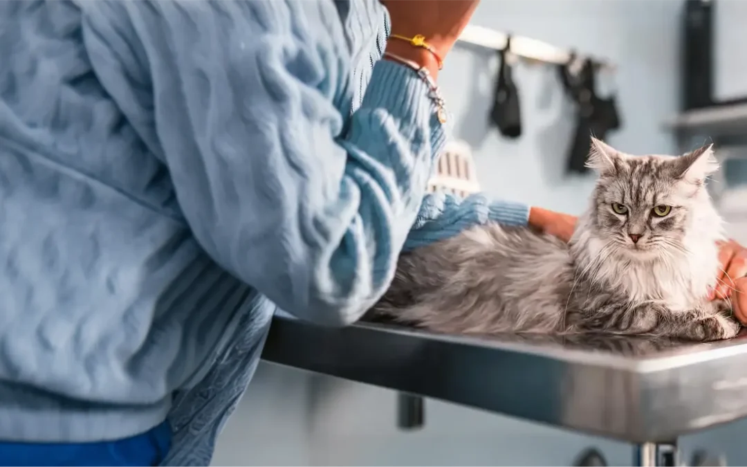 Protected: What happens when subclinical HCM goes unmanaged?