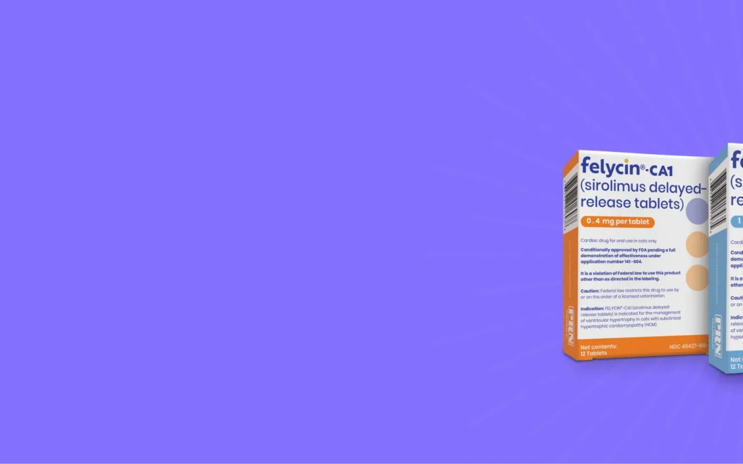Sirolimus vs. Traditional Heart Medications for Cats with HCM
