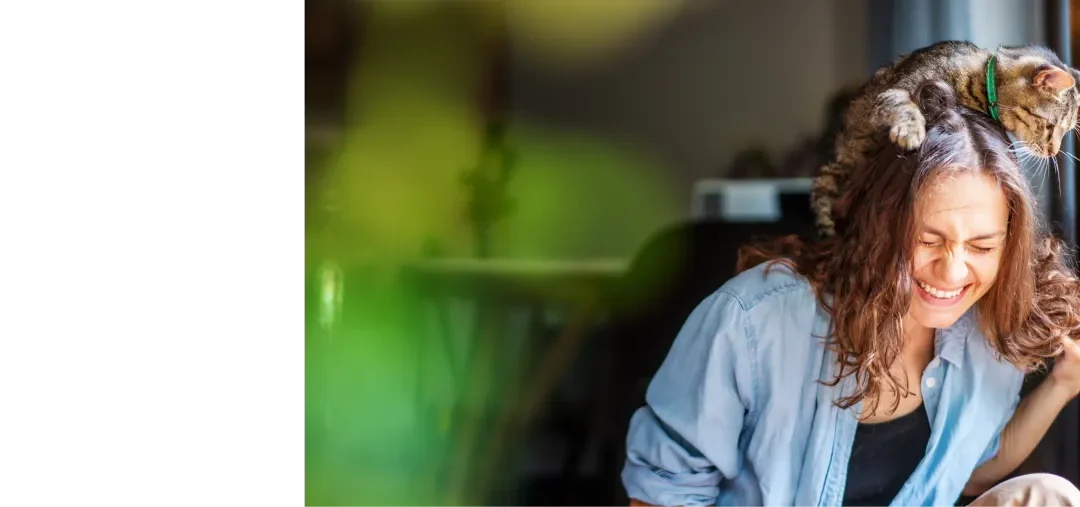 Protected: Living with a Cat Diagnosed with HCM: What to Expect