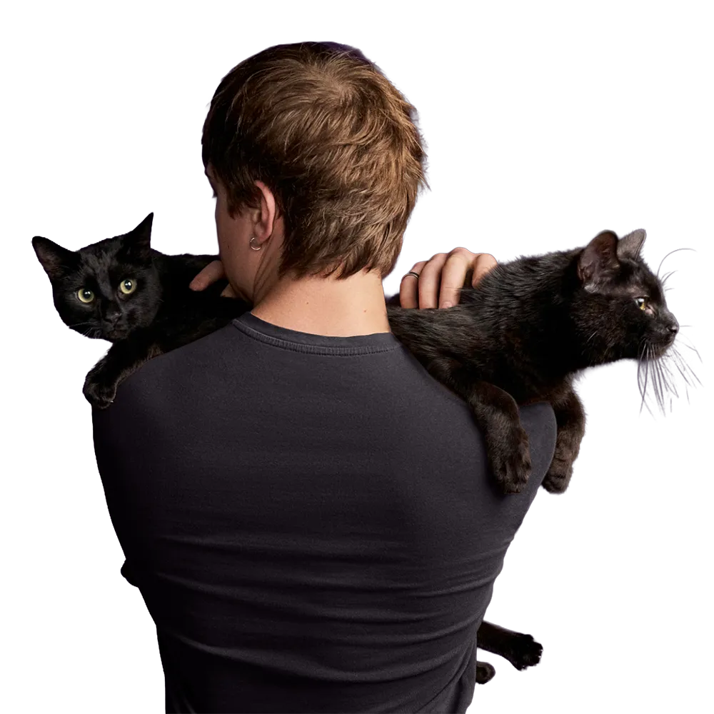 catdad-2cats
